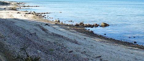 Vista desde la propiedad