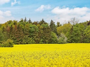 Ferienhaus | Verschiedenes