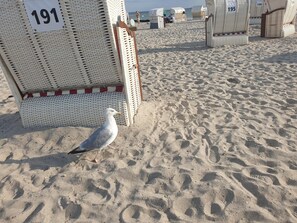 Maison | Vue depuis lâhĂ©bergement