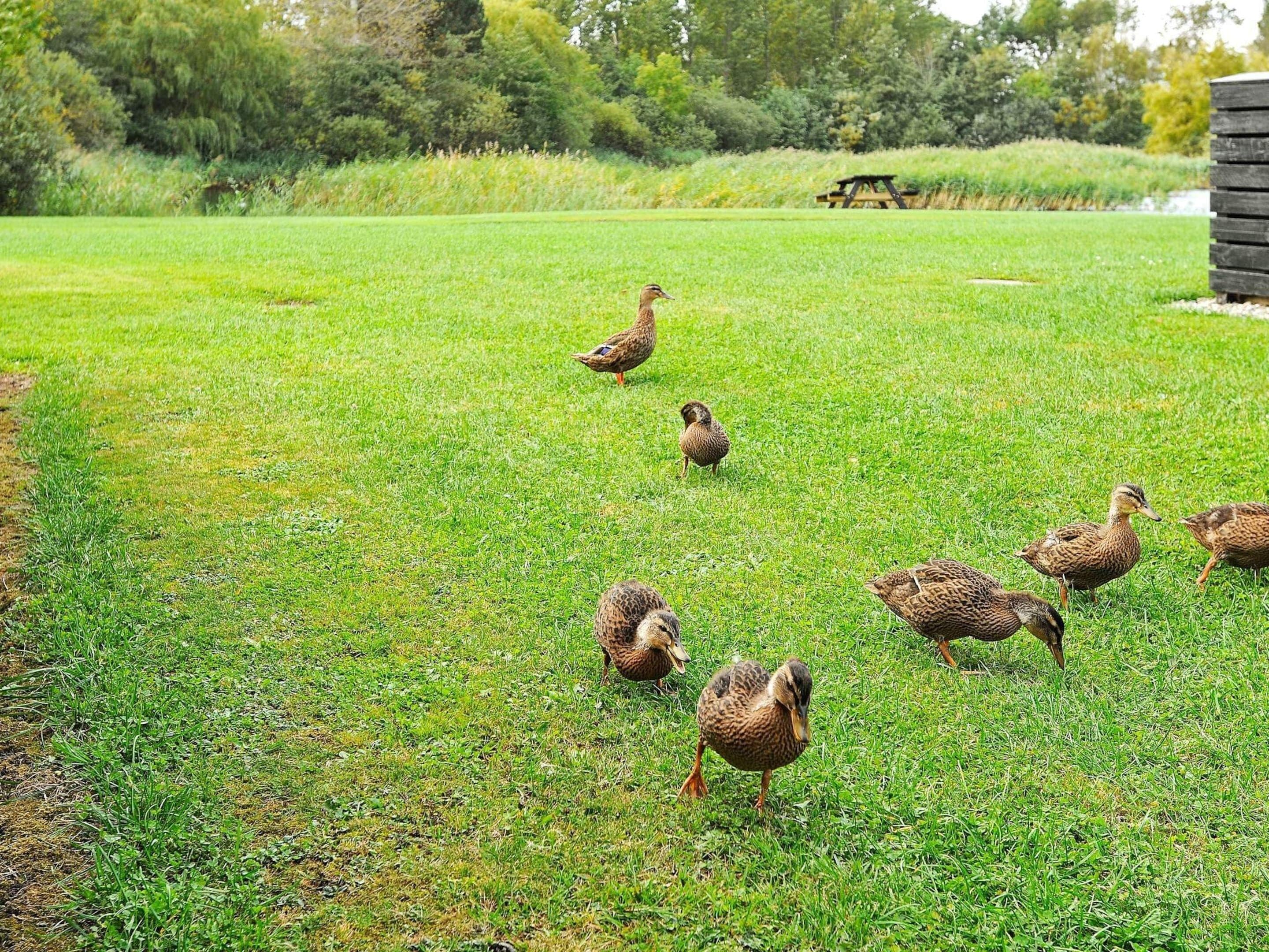 獨棟房屋 | 外觀