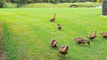 House | Bahagian luar