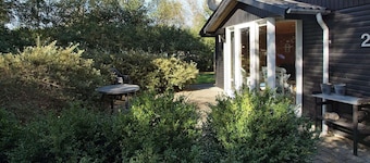 6 Person Holiday Home in Hemmet-by Traum