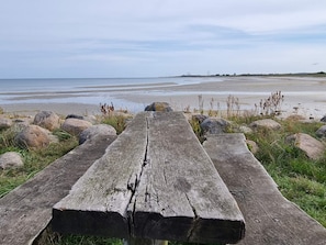 Un banc en bois donnant sur une plage parsemée de rochers et où la végétation est rare.
