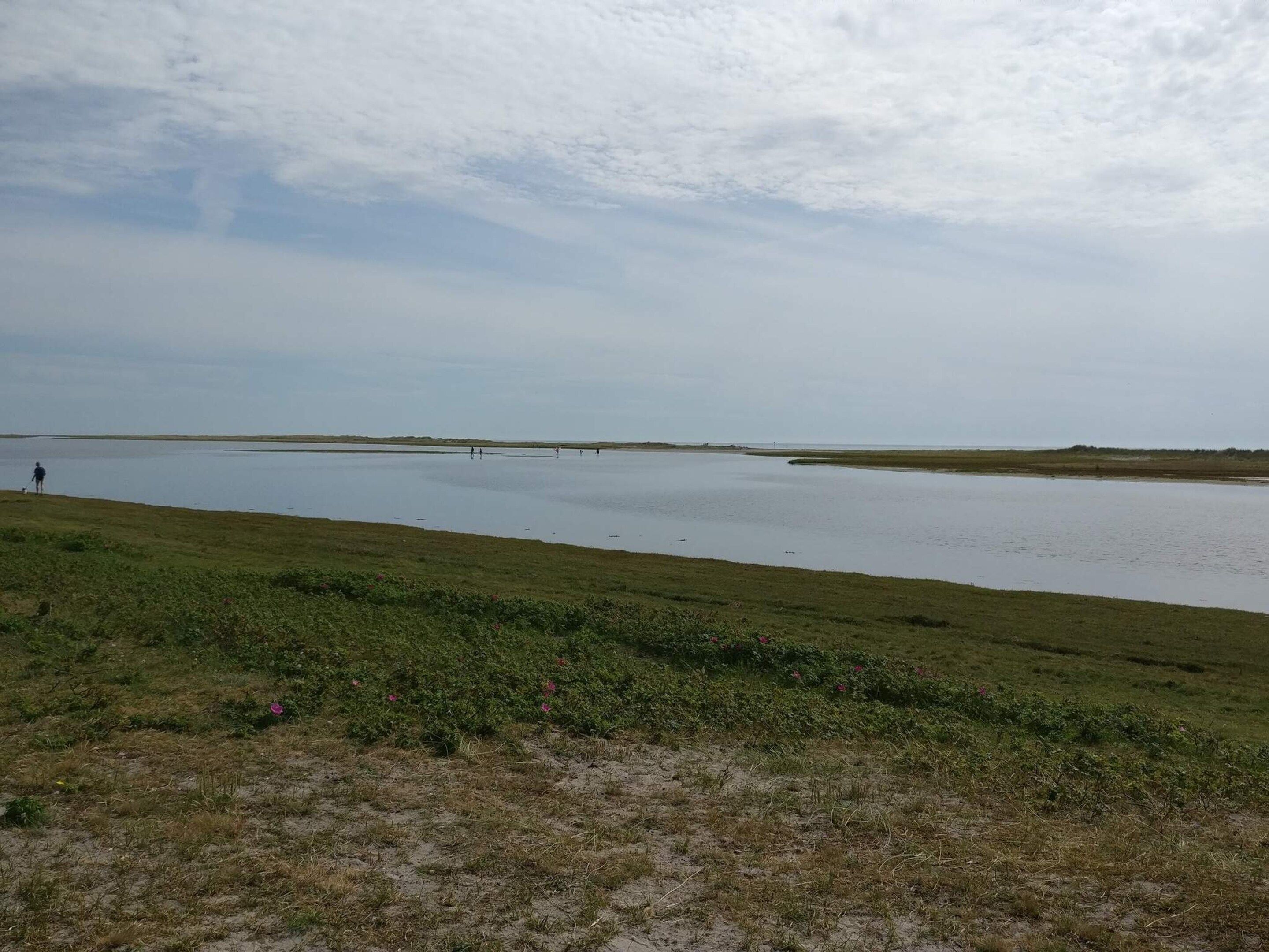 Un vaste paysage plat, avec une étendue d’eau et une zone herbeuse.