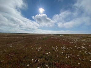 House | Miscellaneous - Seaside Escape in Laeso - By Traum Ferienwohnungen (Læsø)