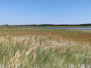 House | Miscellaneous - Seaside Escape in Laeso - By Traum Ferienwohnungen (Læsø)