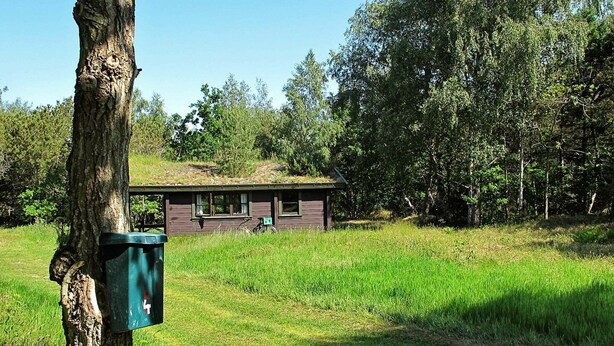 Unclassified image, 1 of 10, button - Scenic Holiday Home in Laeso Denmark near Coast (Læsø)
