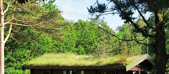 Quiet Holiday Home in Laeso, Denmark near Beach