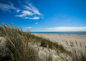 Beach - 6 Person Holiday Home in Blavand (Blavand)