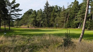 En golfbana med en flaggstång, omgiven av täta träd och gräs.