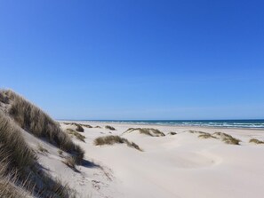 A beach with sand dunes and a clear blue sky. - 5 Star Holiday Home in Lokken (Lokken)