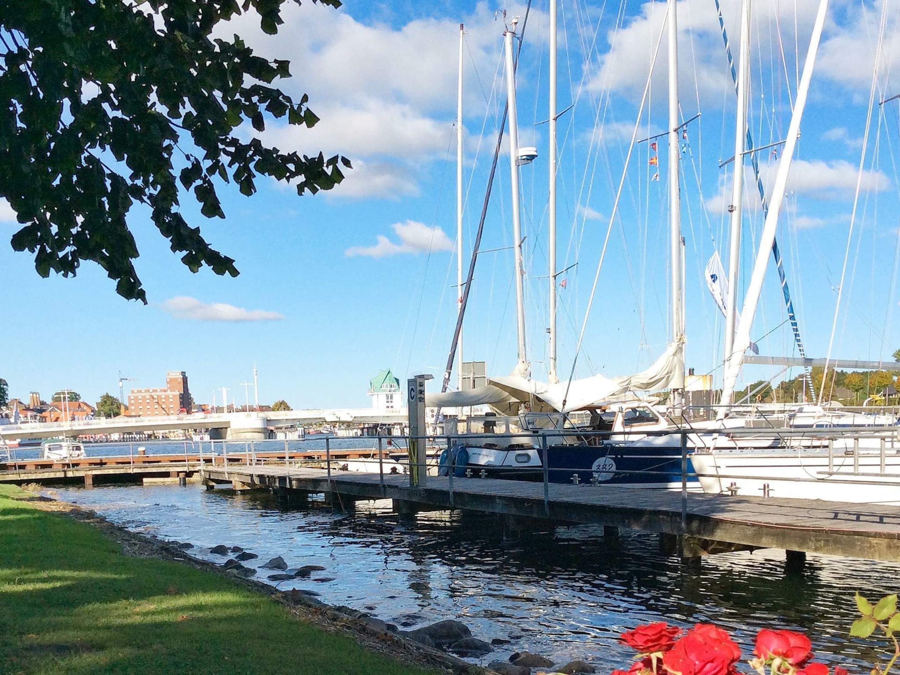 A marina with boats docked, a bridge, and a grassy area with red flowers.