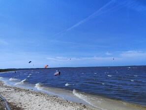 A beach with waves, a sandy shore, and several kites in the sky.