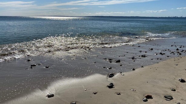 A beach with a clear sky, calm sea, and scattered rocks. - 5 Star Holiday Home in Vejby (Vejby)