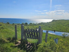 House | Miscellaneous - 16 Person Holiday Home in Vejby (Vejby)