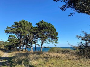 House | Miscellaneous - 5 Star Holiday Home in Vejby (Vejby)