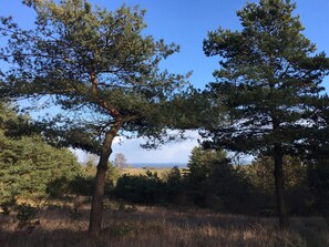 House | Miscellaneous - 16 Person Holiday Home in Vejby (Vejby)