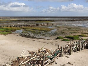 独立别墅 | 海滩