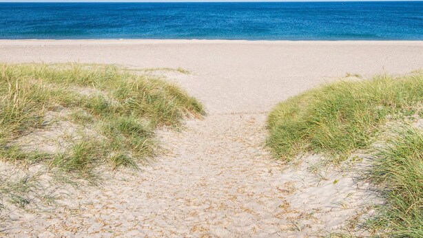 Una playa con un sendero arenoso que conduce al océano, rodeada de dunas cubiertas de hierba.