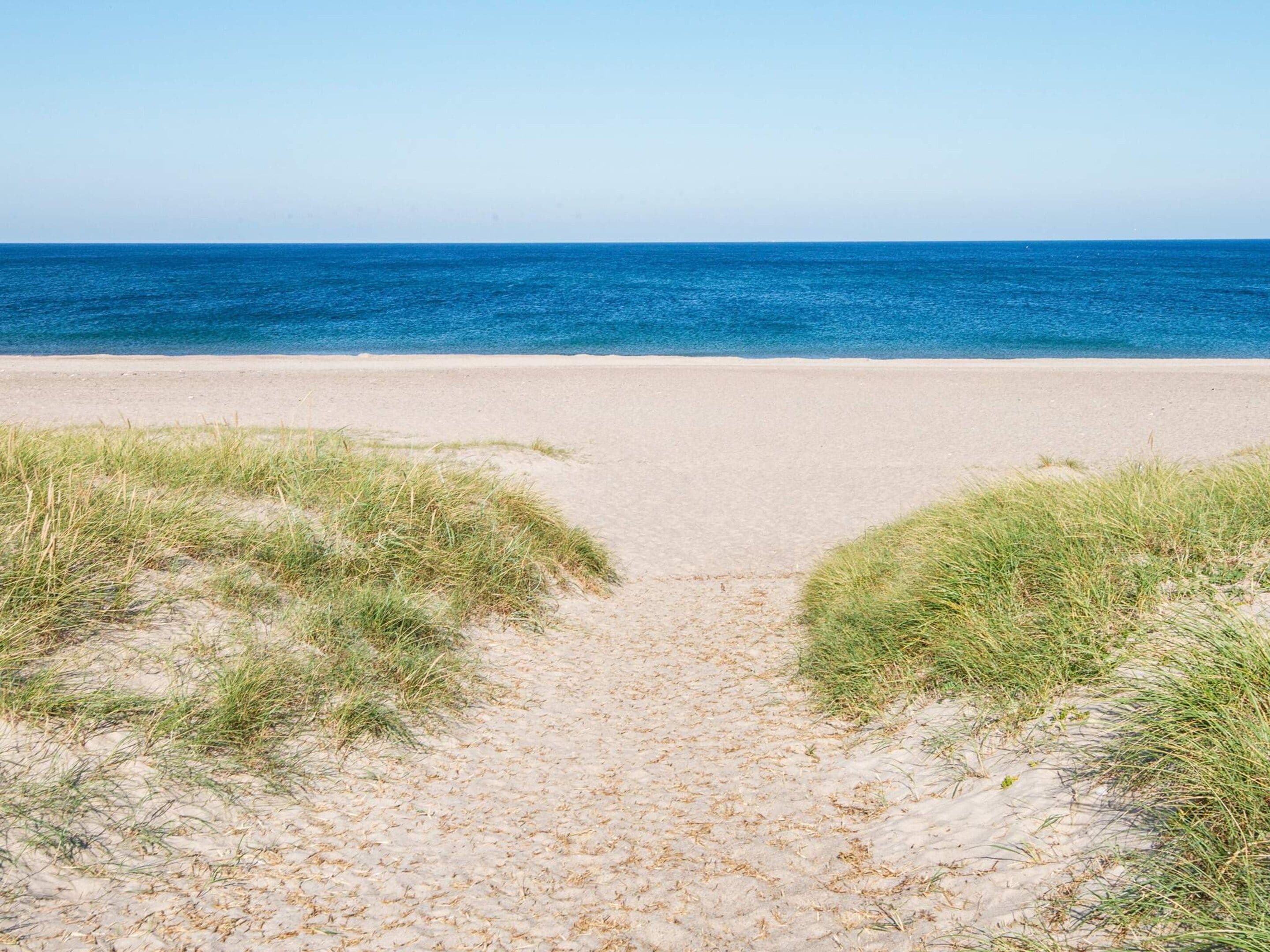 A beach path leading to the ocean with sand and grass on either side.