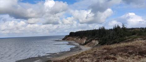 A coastal landscape with a beach, forested cliff, and ocean.