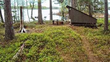 House | Property grounds