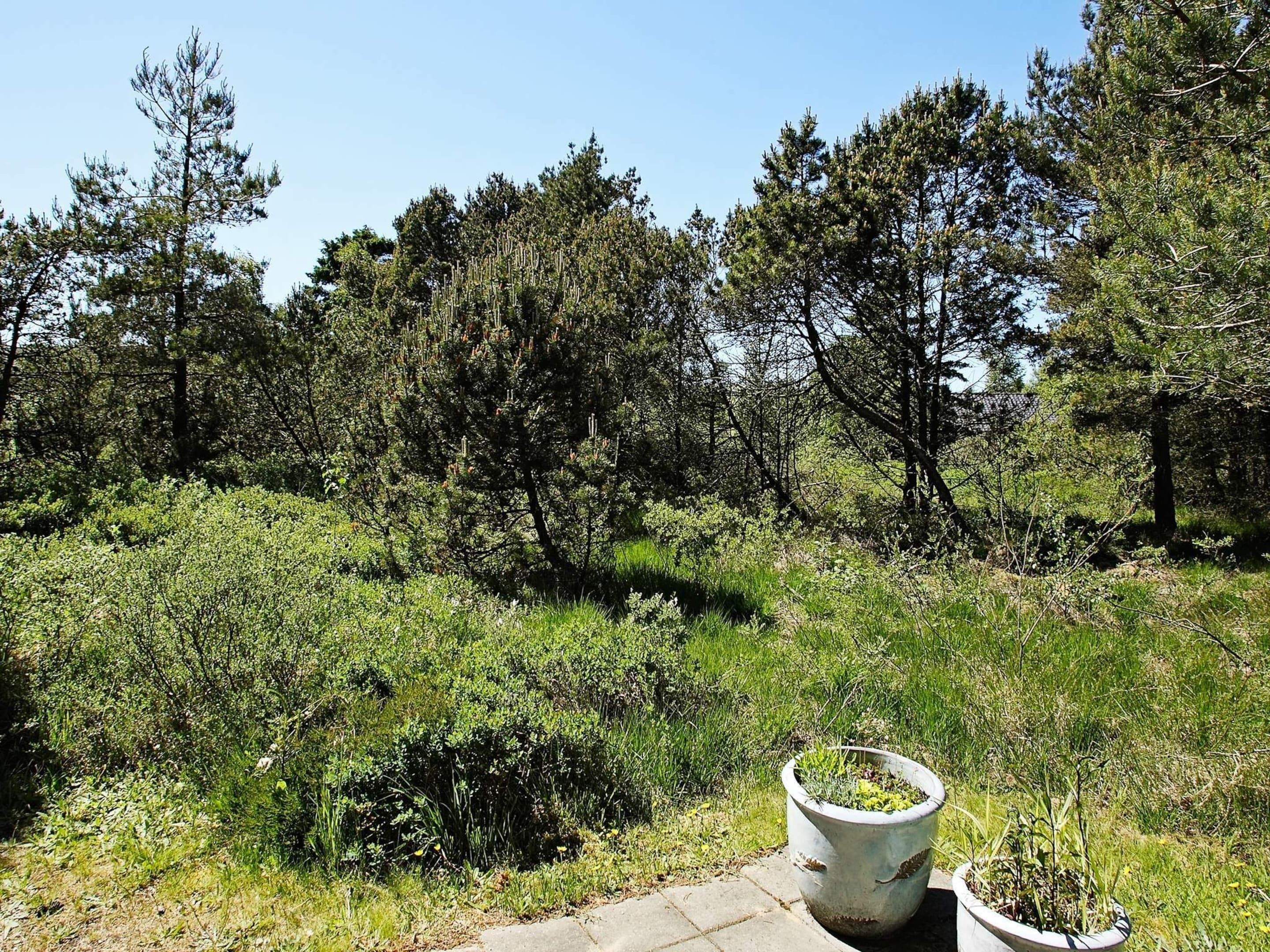 الإطلالة من المنشأة