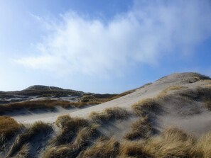 A sandy landscape with dunes and sparse vegetation. - 6 Person Holiday Home in Ringkobing (Ringkobing)