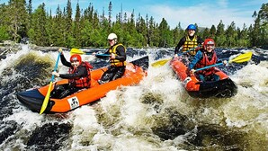 Fitness facility - 14 Person Holiday Home in Trysil (Trysil)