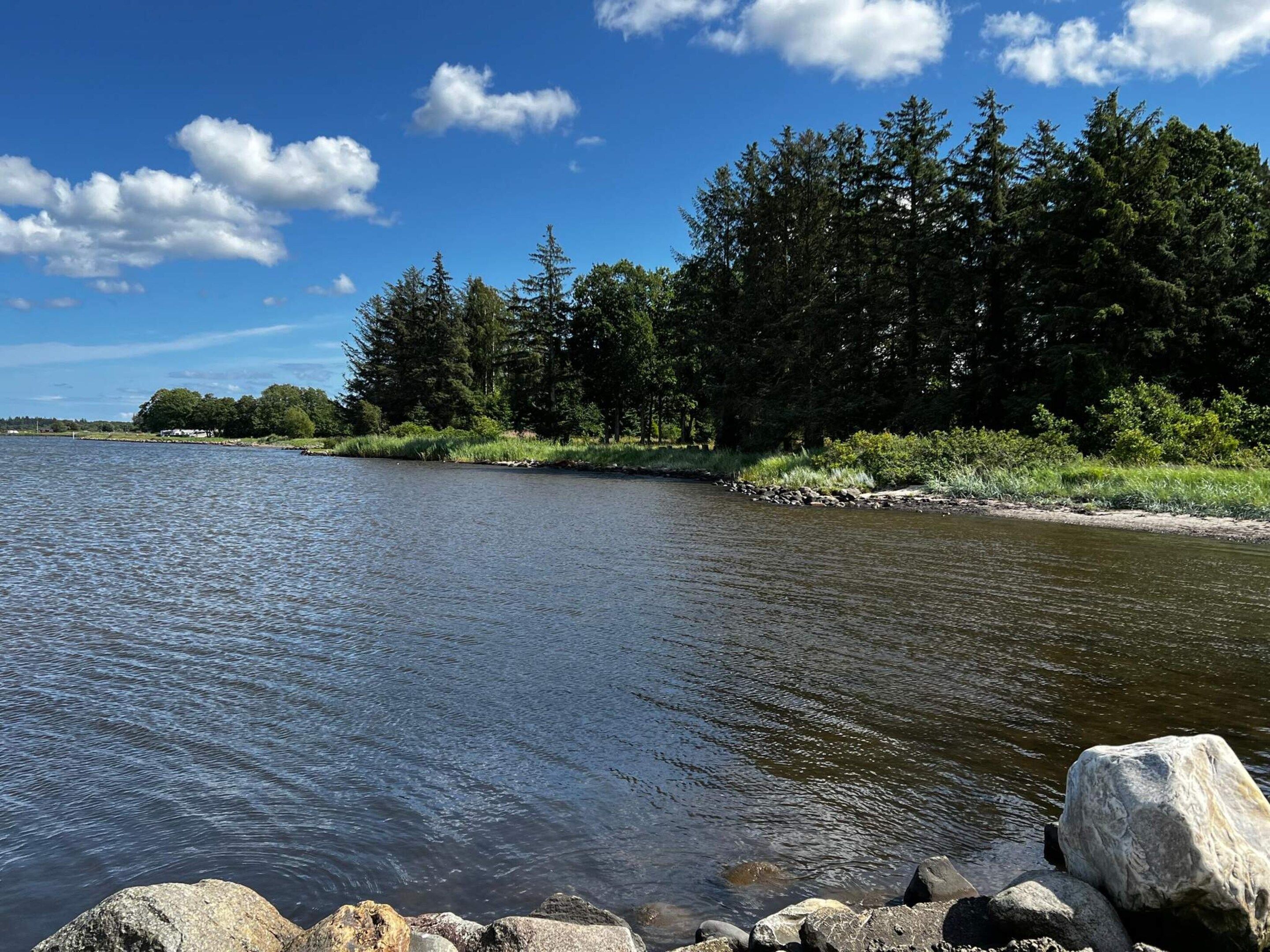 Een rivier met een rotsachtige oever en een dicht bos aan de overkant.