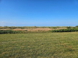 House | Miscellaneous