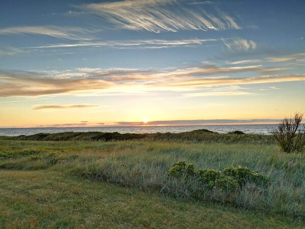 House | Miscellaneous