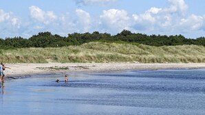 A beach with a sandy shore and grassy dunes in the background. - Spacious Holiday Home in Rødby near Beach (Rodby)