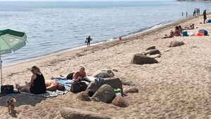 Ranta, jossa ihmiset ottavat aurinkoa, koira ja kiviä.
