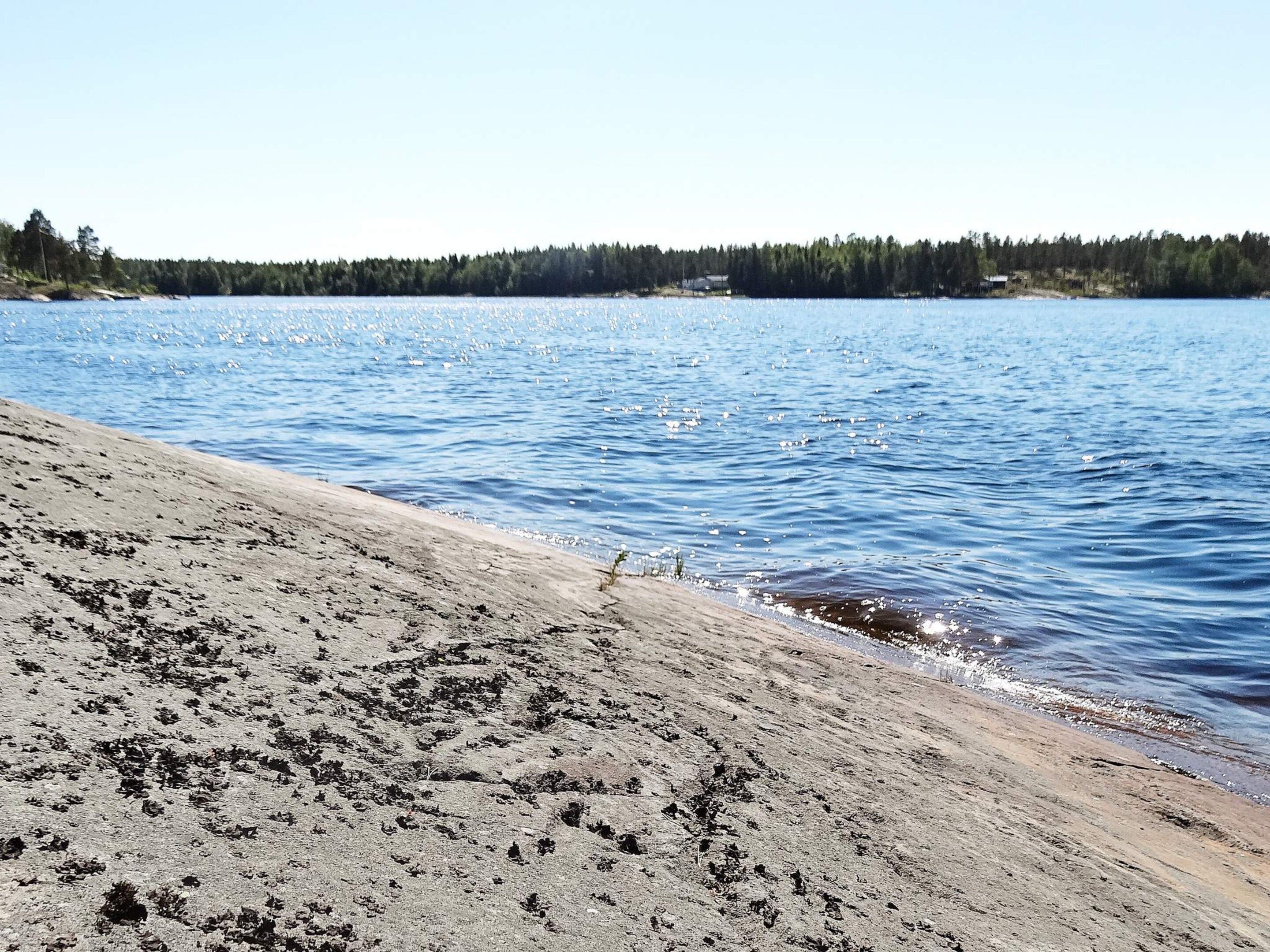 A beach with a sandy shore and calm water, surrounded by a forested area.