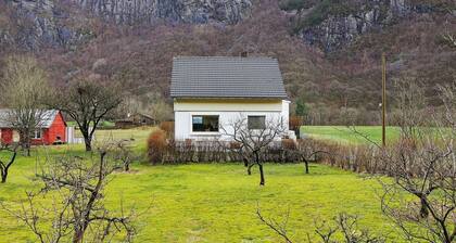 8 Person Holiday Home in Dyrdal