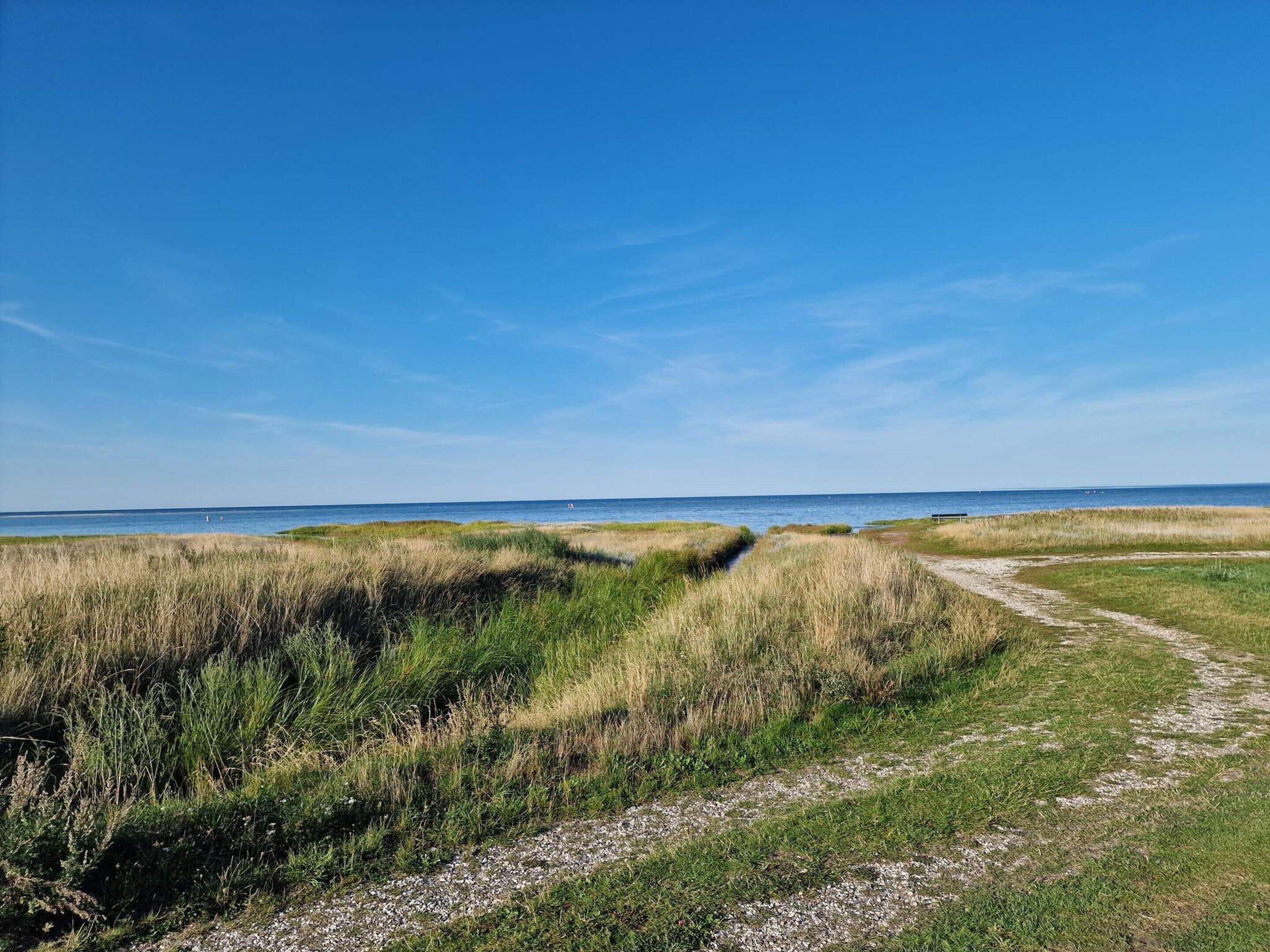 Un sentier côtier bordé de dunes herbeuses, sous un ciel bleu azur.