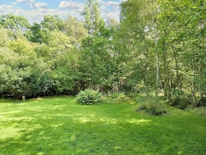 A lush green garden with a variety of trees and shrubs, a clear path, and a small pond.