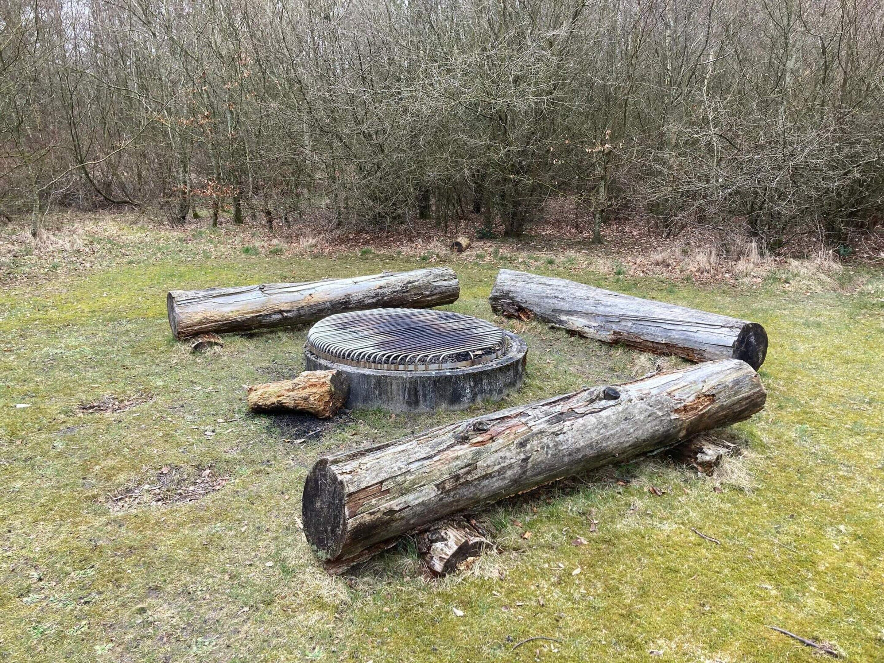 A circular fire pit surrounded by logs in a grassy area with trees in the background.