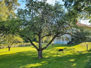A tree in a grassy area with a building in the background.