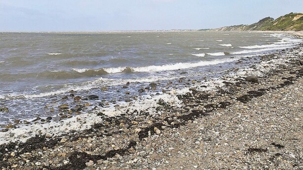 Une plage rocheuse où les vagues se brisent sur le rivage.