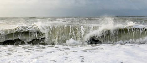 하우스 | 해변 | 근처 해변