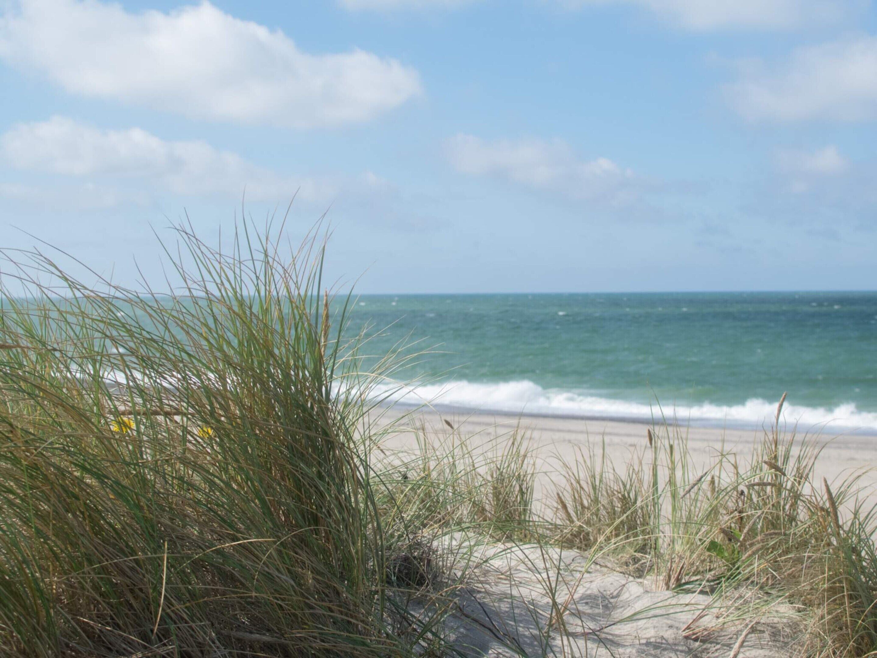 A beach with sand dunes and ocean waves.
