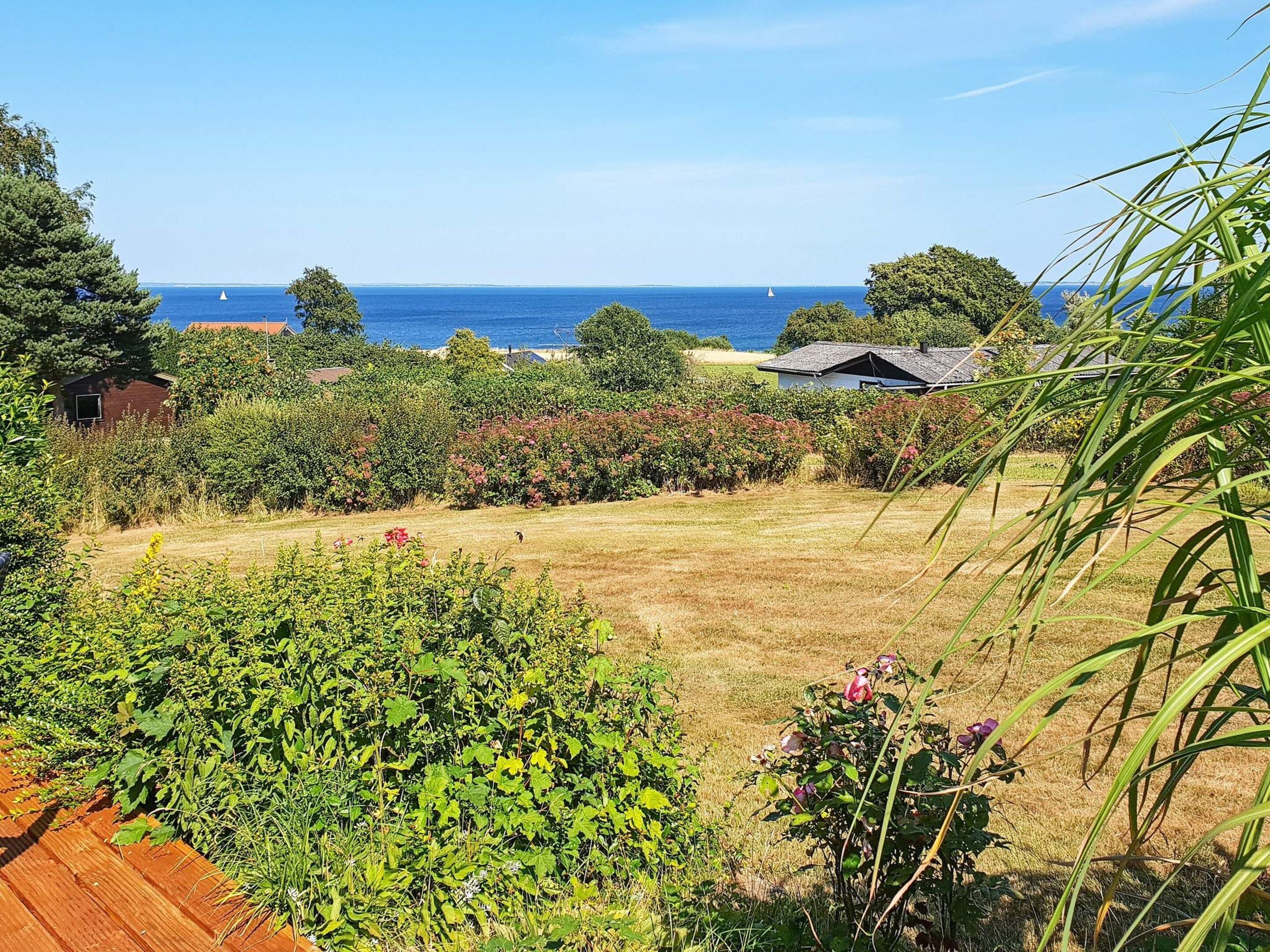 A coastal property with a grassy lawn, dense shrubbery, and a view of the sea.