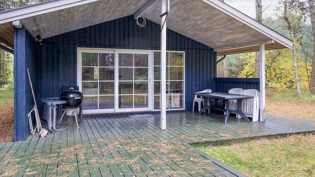 Ferienhaus | Blick von der Unterkunft