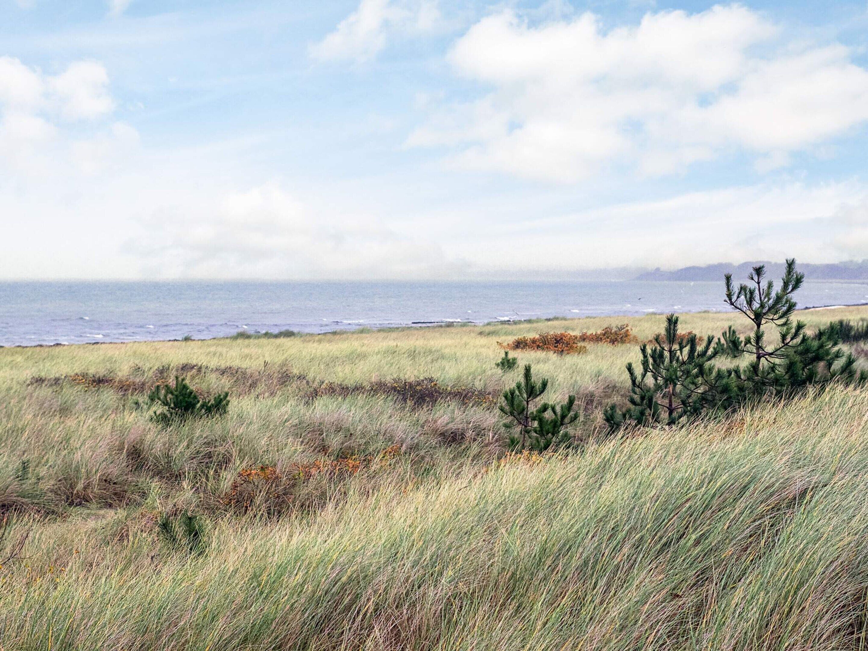 House | View from property