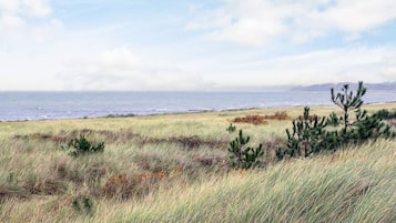 House | View from property