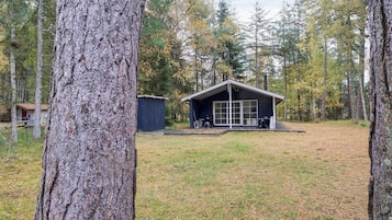 الإطلالة من المنشأة