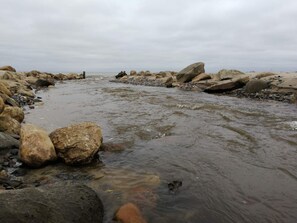 A rocky shoreline with a flowing river.