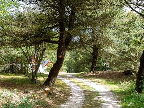 Ev | Dış mekân